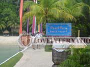 Philippine-Women-8776-1